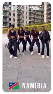 Naimibia video poster